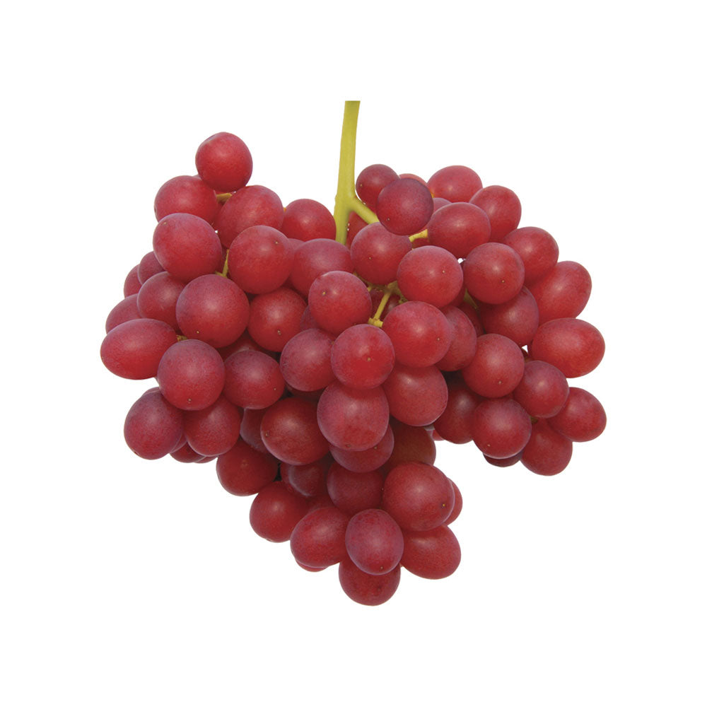 Fresh Seedless Red Grapes 1Box -MF