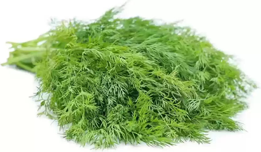 Fresh Dill Leaves 100g