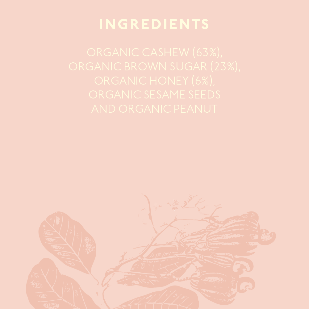 Nourish Organic Honey Roasted Cashew 100g