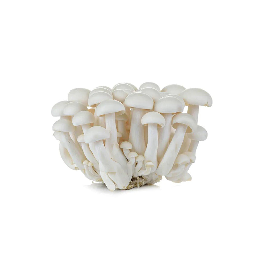 Fresh Shimeji White Mushroom 100g