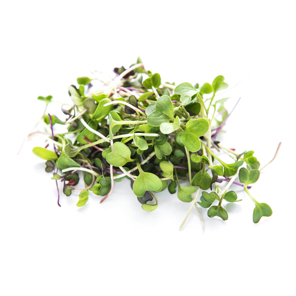 Mixed Micro Greens Hydroponic 50G
