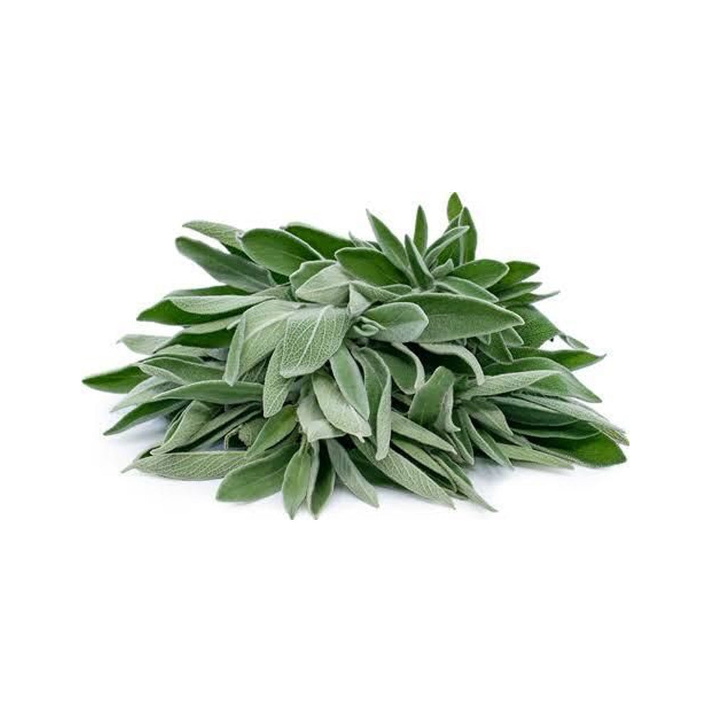 Fresh Sage 50g