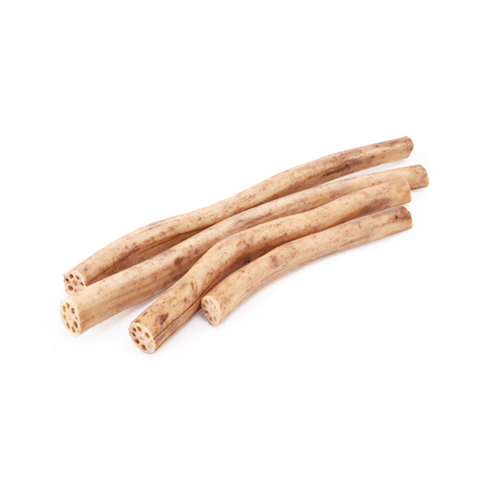 Fresh Lotus Stem 1Pcs