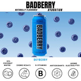 BadBerry Sky Berry Drink 500ml