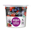 Epigamia Greek Yogurt Mixed Berries Zero Added Sugar 85g