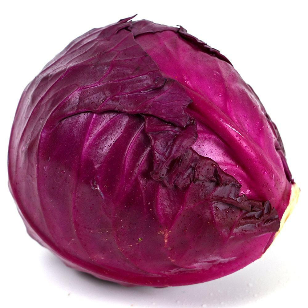 Purple Cabbage 1 Pc