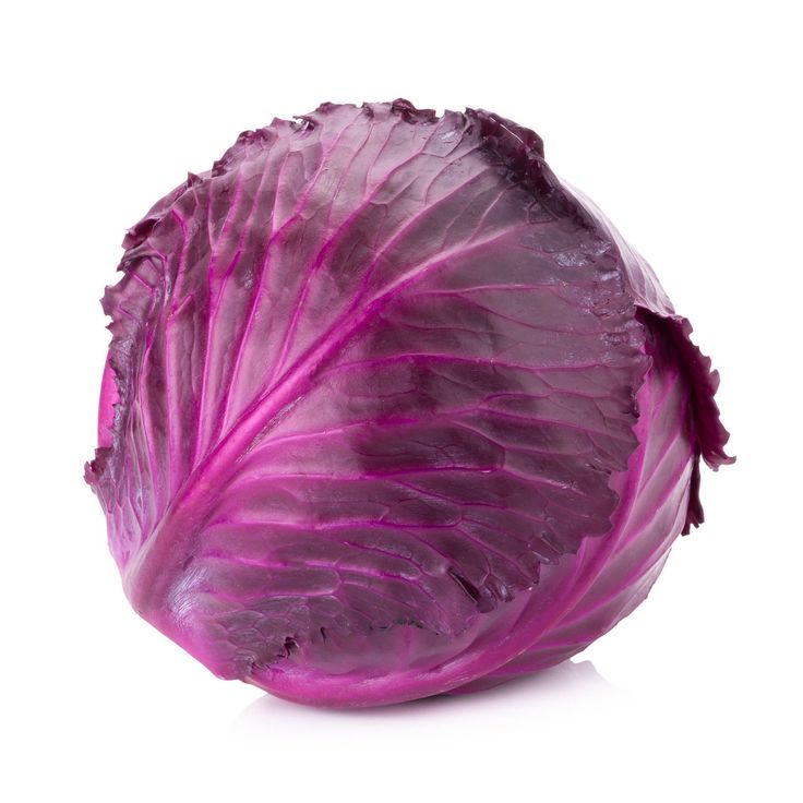 Purple Cabbage 1 Pc