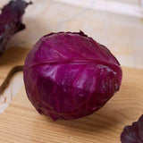 Purple Cabbage 1 Pc