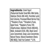 Epigamia Greek Yogurt Mixed Berry Sugar Free 110g