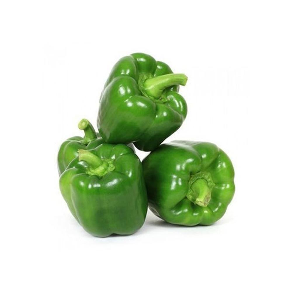 Green Capsicum Hydroponic 500G - Chennai Grocers