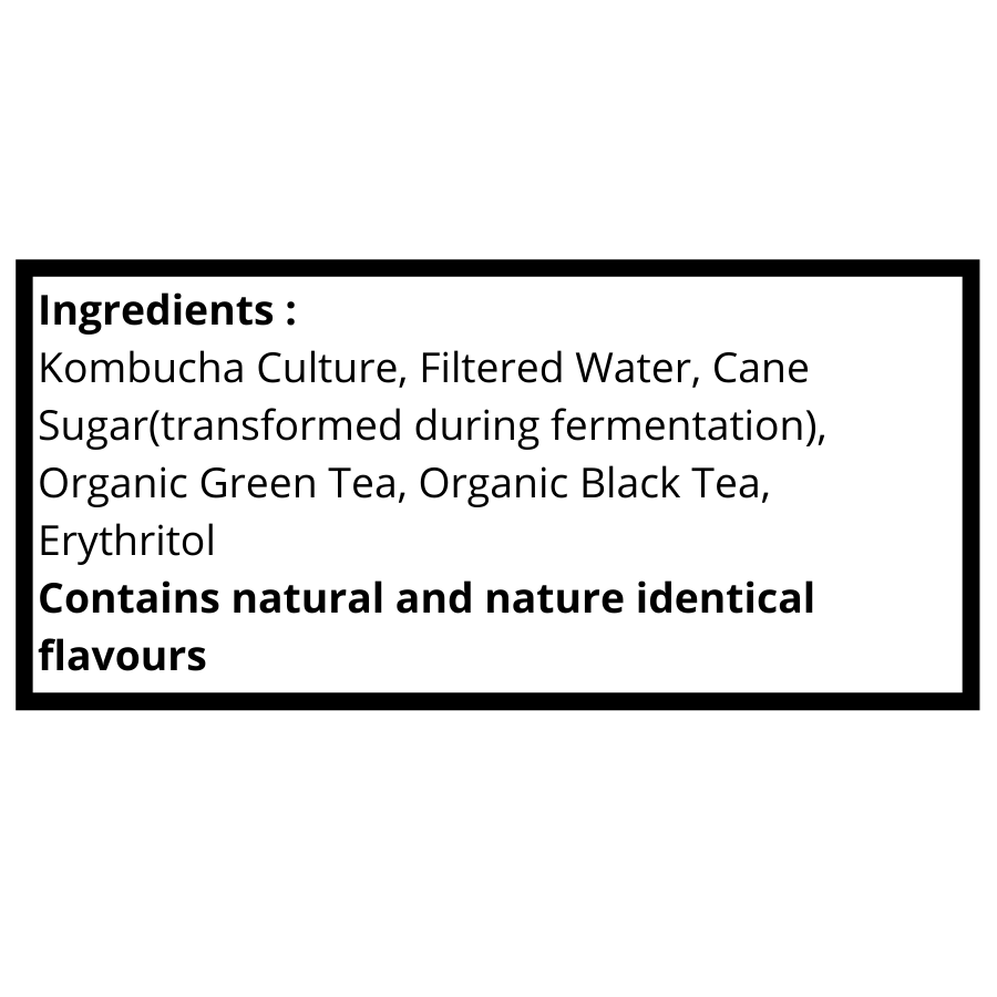 Toyo Kombucha Zero Sugar Cranberry Sparkling Tea 330ml