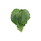 Mustard Greens Hydroponic 150G