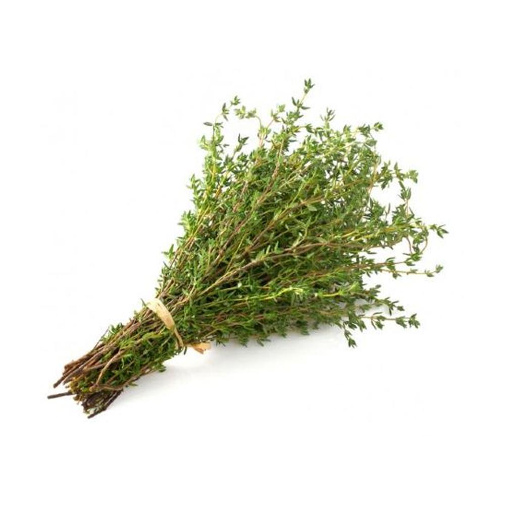 THYME (HYDROPONIC) 25G - Chennai Grocers