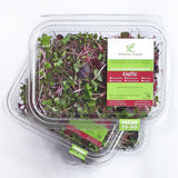 Salad Mix Microgreens Exotic 50G - Chennai Grocers